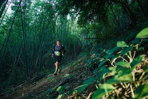 BIB: 
                            <button type="button" onclick="openModal(28124906)" class="btn btn-primary btn-sm float-right btn-popup" data-toggle="modal" data-target=".modal-high-quality">
                        <i class="fas fa-shopping-cart"></i> Add to Cart
                    </button>
                                            <button type="button" onclick="isThisMe(28124906, true)" class="btn btn-success btn-sm float-right btn-popup btn-isme hidden" data-toggle="tooltip" data-placement="bottom" title="นี่คือรูปของคุณใช่ไหม คลิกที่นี่เพื่อเอาเข้าอัลบั้ม">
                        <i class="fas fa-plus"></i> Add to album
                    </button>
                    <button type="button" onclick="isThisMe(28124906, false)" class="btn btn-warning btn-sm float-right btn-popup btn-isnotme hidden">
                        <i class="fas fa-ban"></i> Remove from album
                    </button>